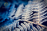 Photo of the month thumbnail