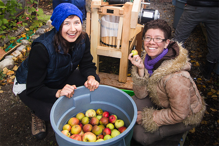 fall-harvest-apple-1