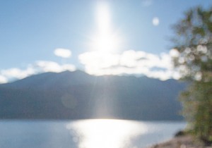 renew-light-theme
