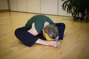 hatha-yoga-tortoise-judith-06
