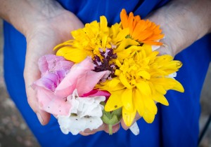 gratitude-theme