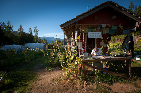 garden-shed